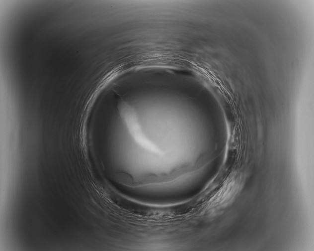 X0000097860099200803211302