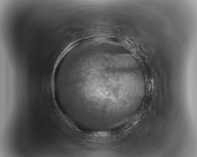 X0000097860102200803211302