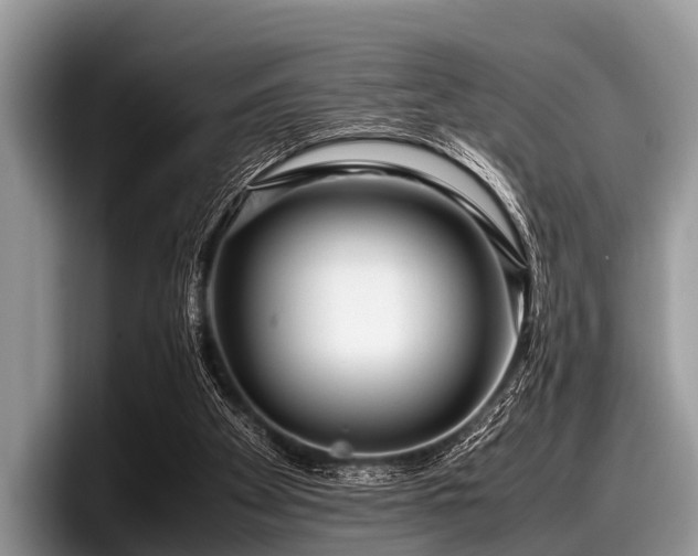 X0000097860105200803211302