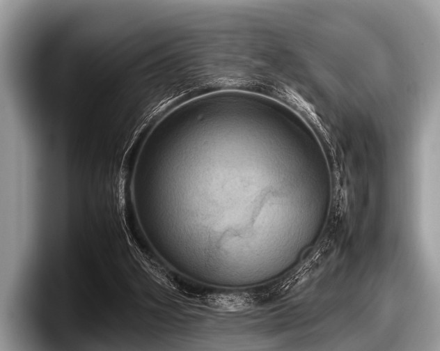 X0000097860106200803211302