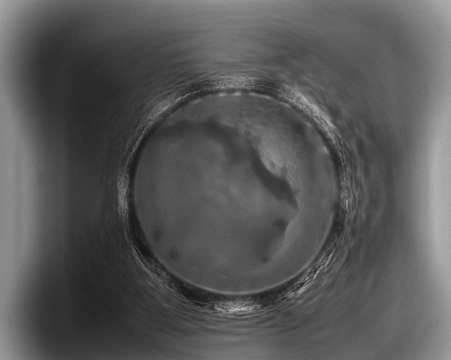 X0000097860107200803211302