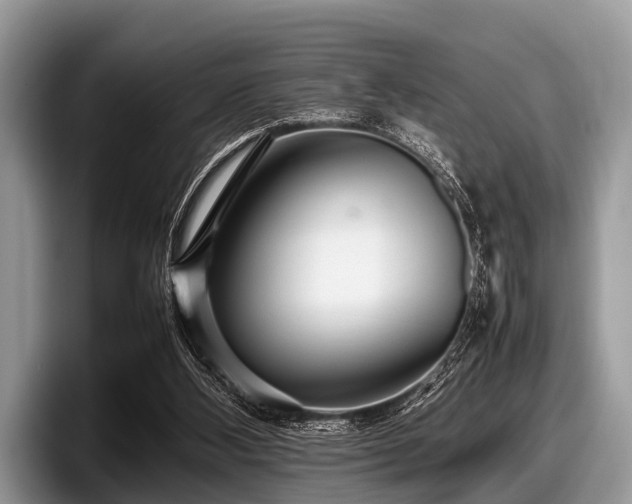 X0000097860108200803211302