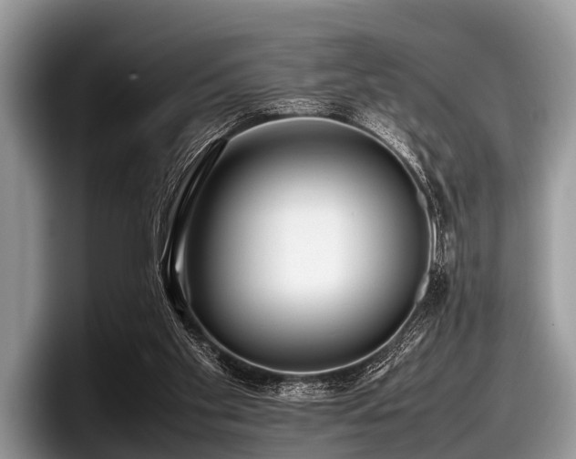 X0000097860109200803211302