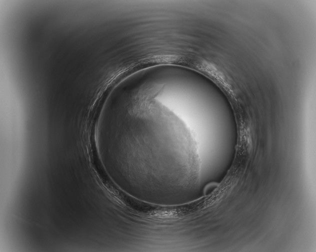 X0000097860110200803211302