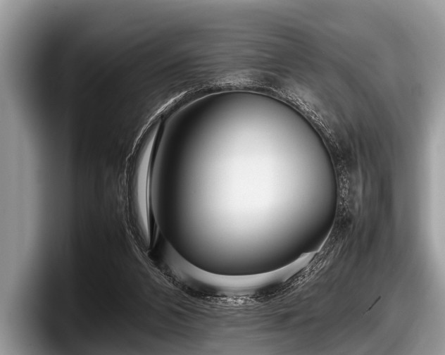 X0000097860112200803211302