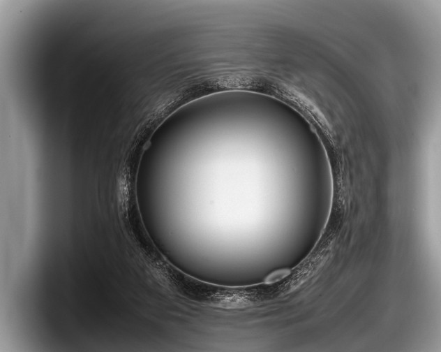 X0000097860113200803211302