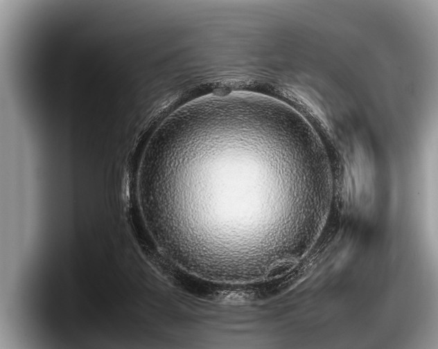 X0000097860115200803211302