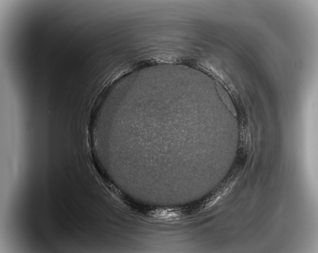 X0000097860117200803211302