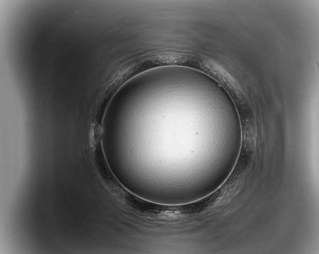 X0000097860119200803211302