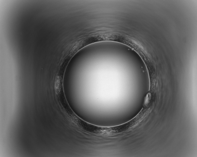 X0000097860121200803211302