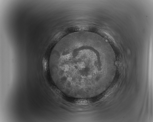 X0000097860123200803211302