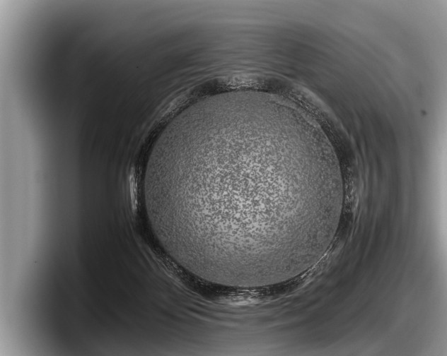 X0000097860124200803211302