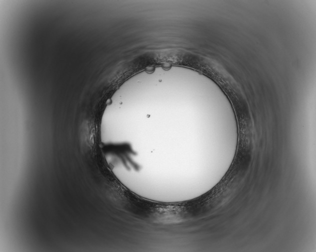 X0000097860125200803211302