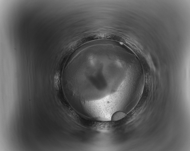 X0000097860127200803211302