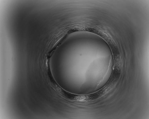 X0000097860131200803211302