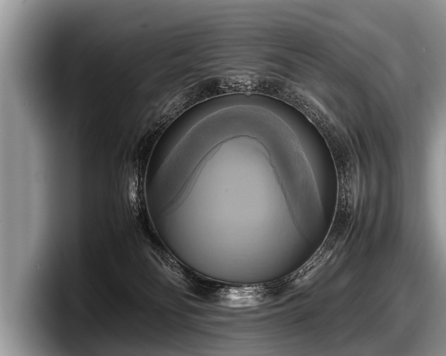 X0000097860134200803211302