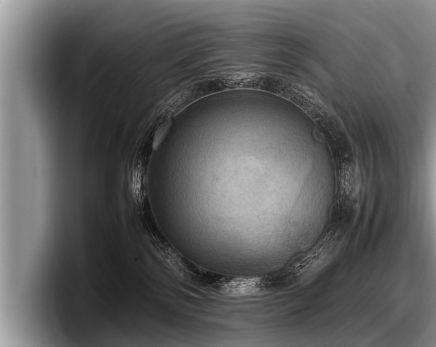 X0000097860138200803211302