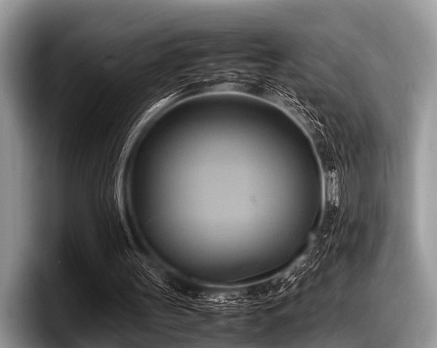 X0000097860147200803211301