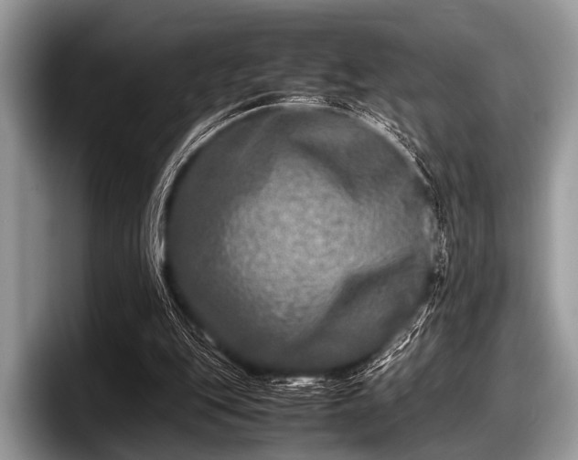 X0000097860151200803211301