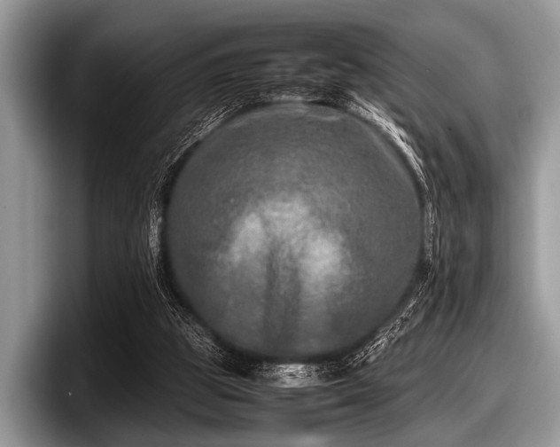 X0000097860153200803211301