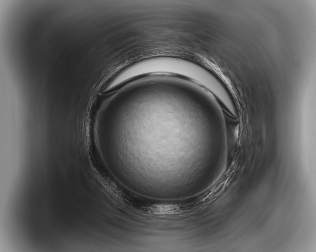 X0000097860154200803211301