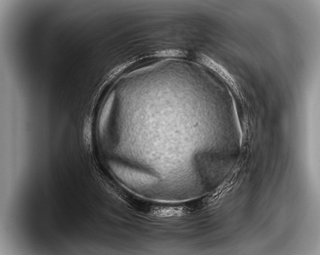 X0000097860155200803211301