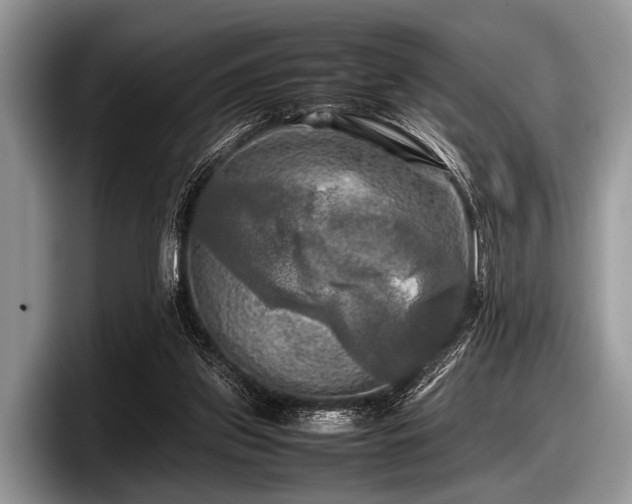 X0000097860157200803211301