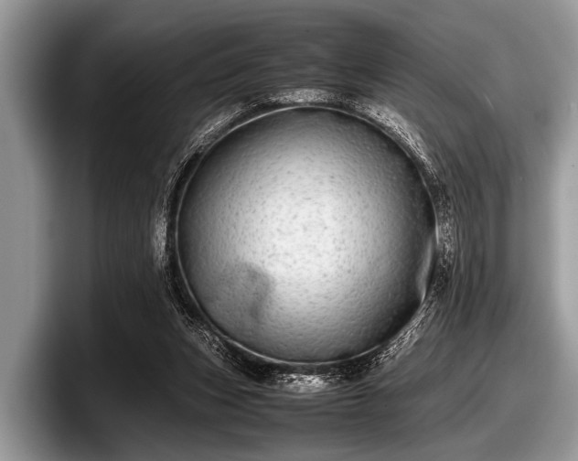 X0000097860159200803211301