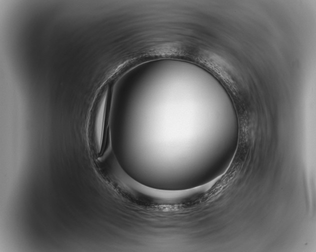 X0000097860160200803211301