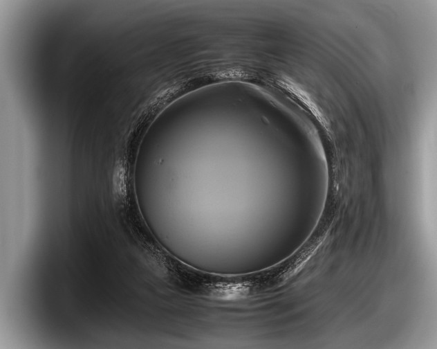 X0000097860161200803211301