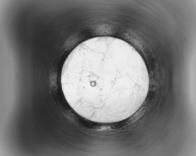 X0000097860162200803211301