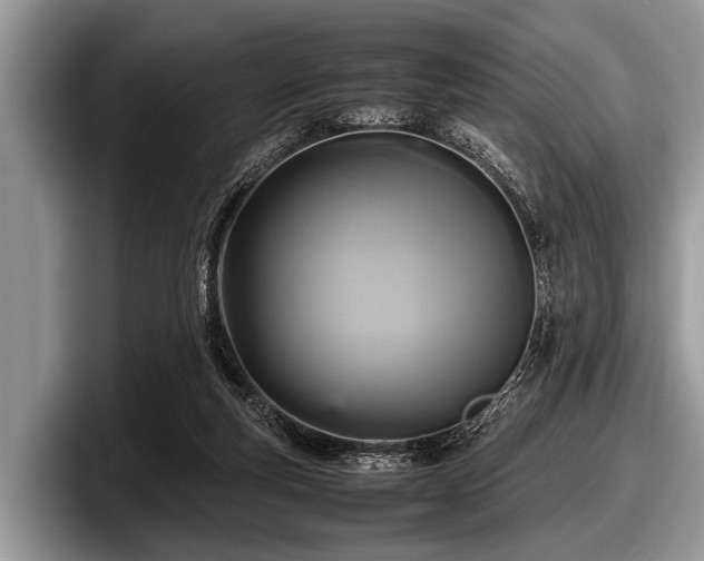 X0000097860163200803211301