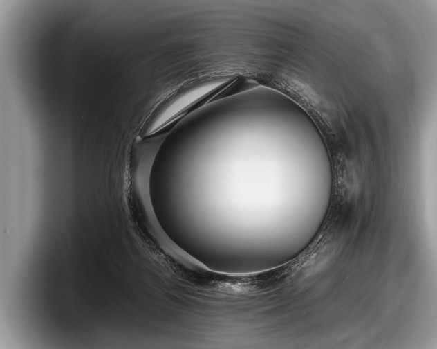 X0000097860164200803211301