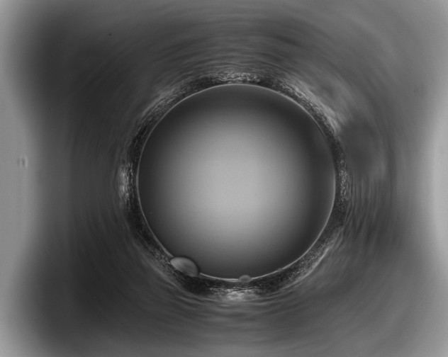 X0000097860165200803211301