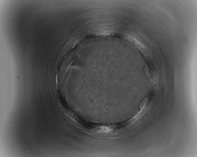 X0000097860166200803211301