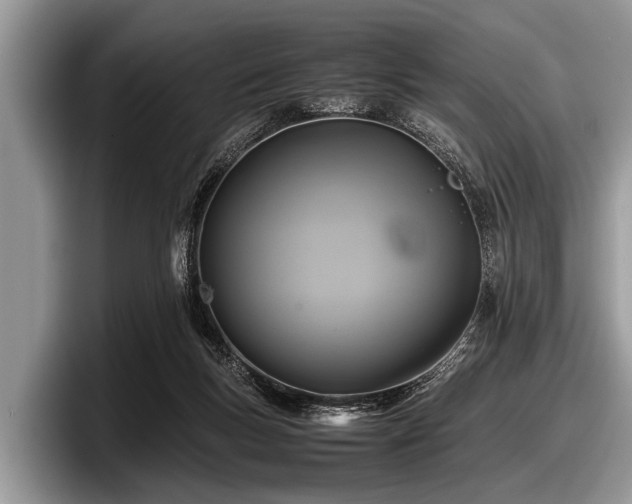 X0000097860167200803211301