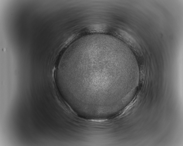 X0000097860168200803211301