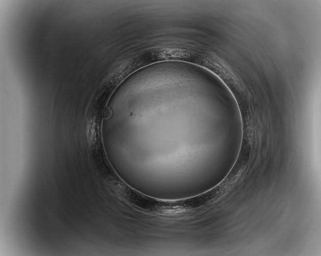 X0000097860169200803211301