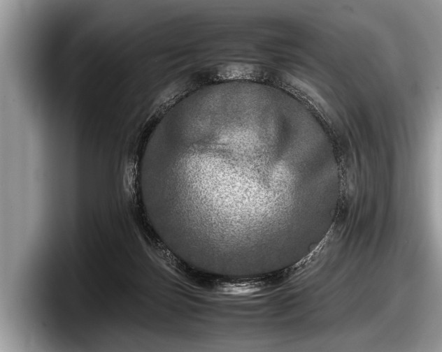 X0000097860171200803211301