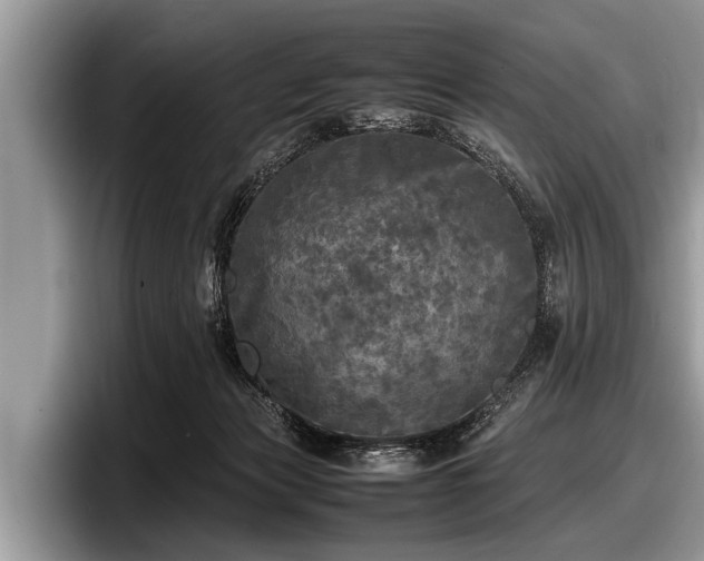 X0000097860173200803211301