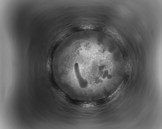 X0000097860175200803211301