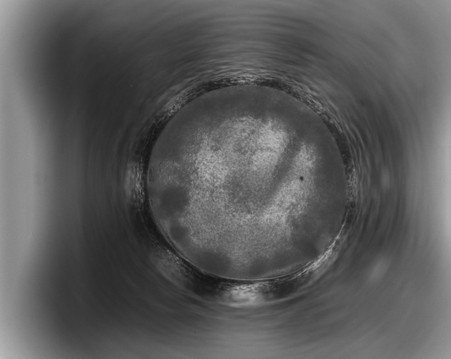 X0000097860178200803211301