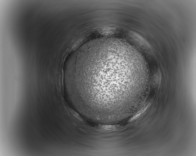 X0000097860180200803211301
