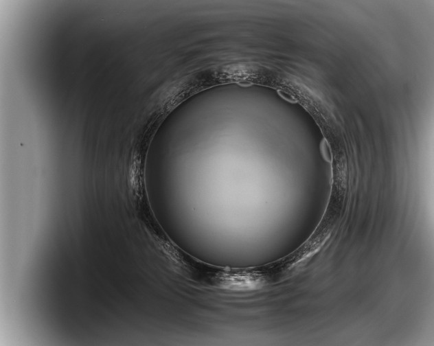 X0000097860181200803211301