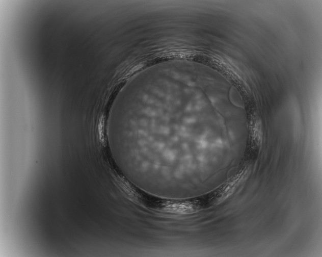 X0000097860185200803211301