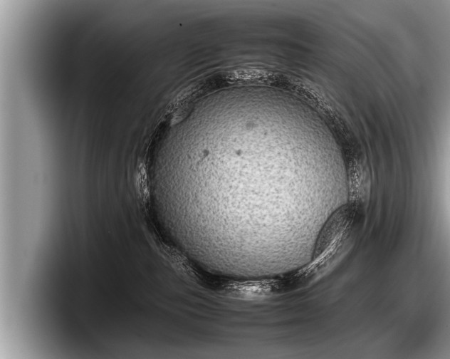 X0000097860187200803211301