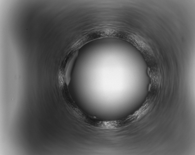 X0000097860188200803211301