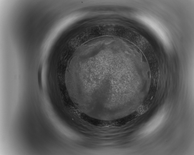 X0000097860189200803211301