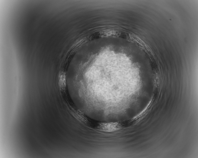 X0000097860191200803211302