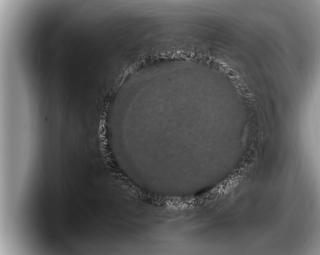 X0000097860192200803211302